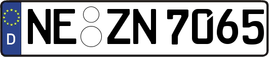 NE-ZN7065
