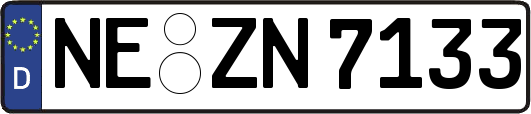NE-ZN7133
