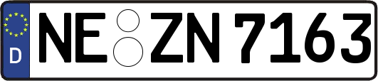 NE-ZN7163