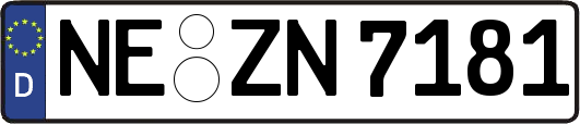 NE-ZN7181