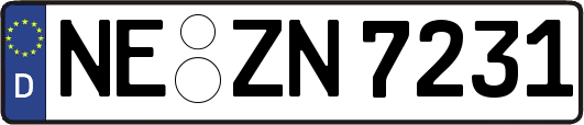 NE-ZN7231
