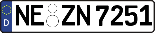 NE-ZN7251