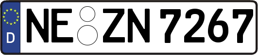 NE-ZN7267