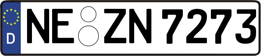 NE-ZN7273