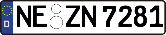 NE-ZN7281