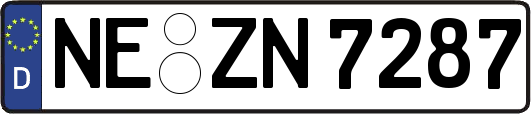 NE-ZN7287