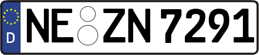 NE-ZN7291