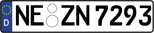 NE-ZN7293