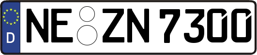 NE-ZN7300