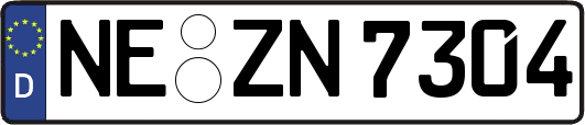 NE-ZN7304
