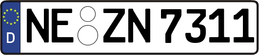 NE-ZN7311