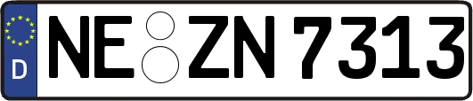 NE-ZN7313