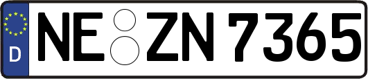 NE-ZN7365