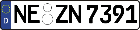 NE-ZN7391