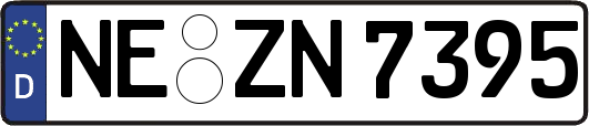 NE-ZN7395
