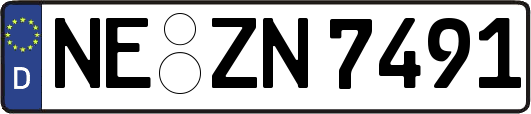 NE-ZN7491