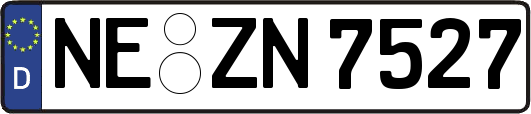 NE-ZN7527