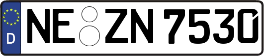 NE-ZN7530