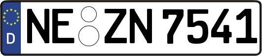 NE-ZN7541