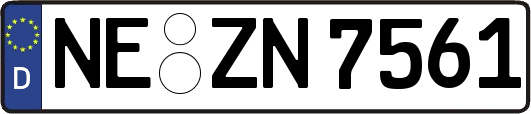 NE-ZN7561
