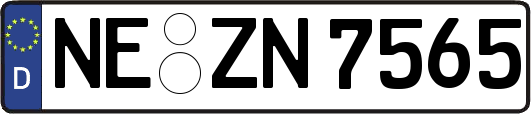 NE-ZN7565