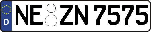 NE-ZN7575