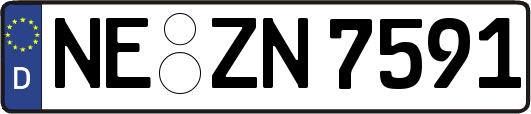 NE-ZN7591