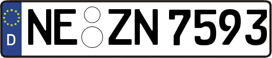NE-ZN7593