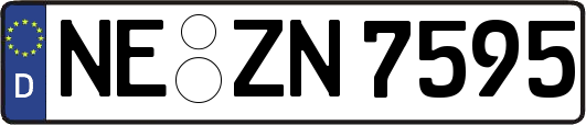 NE-ZN7595