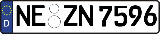 NE-ZN7596
