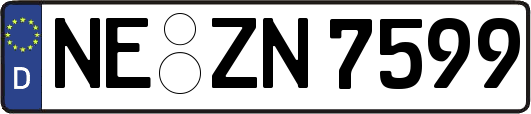 NE-ZN7599