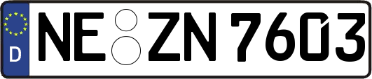 NE-ZN7603
