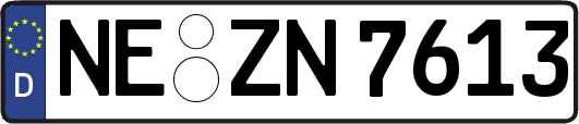 NE-ZN7613