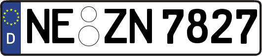 NE-ZN7827