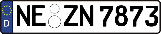NE-ZN7873