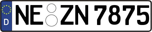 NE-ZN7875
