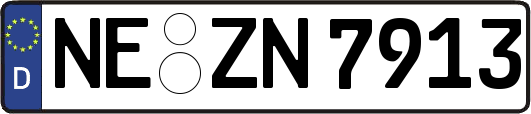 NE-ZN7913