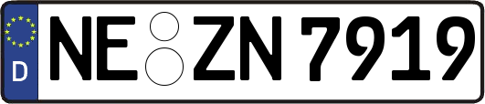 NE-ZN7919