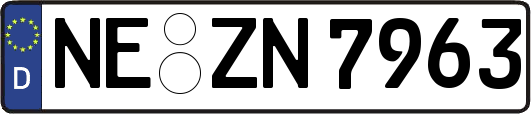 NE-ZN7963