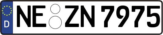 NE-ZN7975