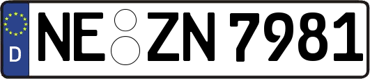 NE-ZN7981