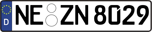NE-ZN8029