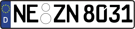 NE-ZN8031
