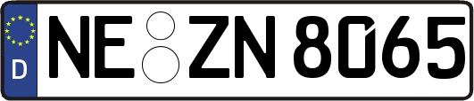 NE-ZN8065
