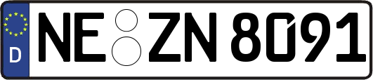 NE-ZN8091