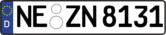 NE-ZN8131