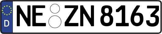 NE-ZN8163