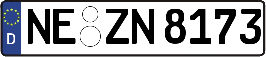 NE-ZN8173