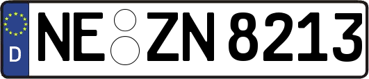 NE-ZN8213