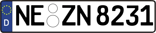 NE-ZN8231